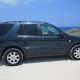 IMG_1561 thumbnail